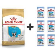 Royal Canin French Bulldog Yavru Köpek Maması 3 kg + 6 Adet Yaş Mama