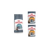 Royal Canin Hairball Tüy Yumağı Kontrolü 2 kg Yetişkin Kedi Maması + Intense Beauty 2x85 gr Yaş Mama