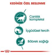 Royal Canin Instinctive +7 Gravy 12x85 gr Yaş Kedi Maması