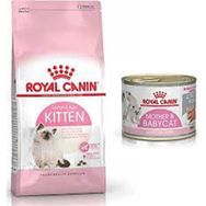 Royal Canin Kitten 4 kg Yavru Kedi Maması + 195 gr Yavru Kedi Konservesi