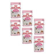 Royal Canin Kitten 6x85 gr Gravy Pouch Yavru Kedi Konservesi