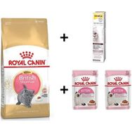 Royal Canin Kitten British Shorthair 2 kg Yavru Kedi Maması + 2 Adet Yaş Mama 85 gr + 20 gr Gimcat Malt