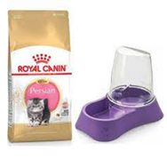 Royal Canin Kitten Persian 2 kg Yavru Kedi Maması + Evohe Mama Kabı