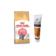 Royal Canin Kitten Yavru British Shorthair Özel 2 kg Kedi Maması