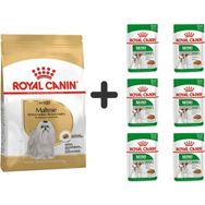 Royal Canin Maltese Bichon 1.5 kg Yetişkin Köpek Maması + 6 Adet Yaş Mama