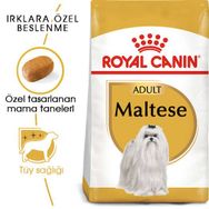 Royal Canin Maltese Bichon Maltais 1.5 kg Köpek Maması + Temizlik Mendili