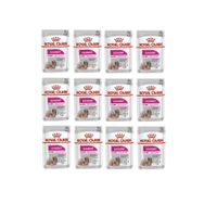 Royal Canin Mini Exigent 6x85 gr Köpek Yaş Mama