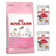 Royal Canin Mother and Baby Kitten 2 kg Yavru Kedi Maması + 2 Adet Yetişkin Yaş Maması