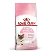 Royal Canin Mother Baby Cat Gebe Laktasyondaki Anne Yavru 4 kg Kuru Kedi Maması