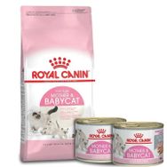 Royal Canin Mother Babycat 4 kg 195 gr Mother Babycat Konserve Mama Hediyeli 2 Adet Yavru Kedi Maması