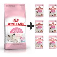 Royal Canin Mother Babycat 4 kg Yavru Kuru Kedi Maması + 6 Adet Yaş Mama