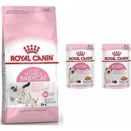 Royal Canin Mother Babycat Yavru 4 kg Kuru Kedi Maması + 2 Adet Kitten Pouch Yaş Mama