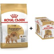Royal Canin Pomeranian 1.5 kg Yetişkin Köpek Maması + 12 Adet Yaş Mama