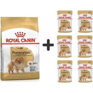 Royal Canin Pomeranian 3 kg Yetişkin Köpek Maması + 6 Adet Yaş Mama