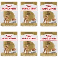 Royal Canin Poodle 6x85 gr Köpek Yaş Mama