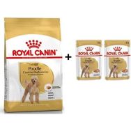 Royal Canin Poodle Adult 3 kg Köpek Maması + 2 Adet Yaş Mama