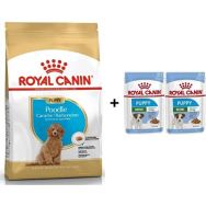 Royal Canin Poodle Puppy 3 kg Köpek Maması + 2 Adet Hediye Yaş Mama
