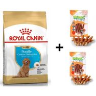 Royal Canin Poodle Puppy 3 kg Köpek Maması + 2x80 gr Wooc Ödül