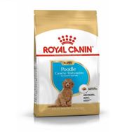 Royal Canin Poodle Puppy Yavru Köpek Maması