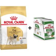 Royal Canin Pug Irkı Özel 1.5 kg Köpek Maması + 12 Adet Yaş Mama