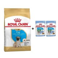 Royal Canin Pug Junior 1.5 kg Yavru Köpek Maması + 2 Adet Hediye Yaş Mama