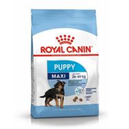 Royal Canin Puppy Maxi 26-44 Büyük Irk 15 kg Yavru Köpek Maması