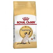 Royal Canin Siamese 38 2 kg Yetişkin Kuru Kedi Maması