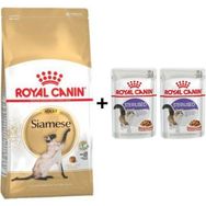 Royal Canin Siamese Yetişkin Kedi Maması 2 kg + 2 Adet Yaş Mama Hediye