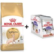Royal Canin Sphynx 2 kg Yetişkin Kedi Maması + 12 Adet Yaş Mama