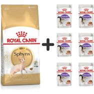 Royal Canin Sphynx 2 kg Yetişkin Kedi Maması + 6 Adet Yaş Mama