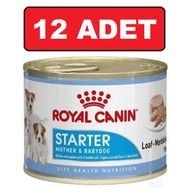 Royal Canin Starter 12x195 gr Köpek Konserve Maması