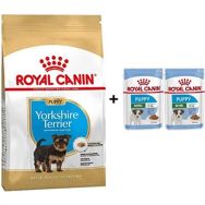 Royal Canin Yorkshire Terrier 1.5 kg Yavru Köpek Maması + 2 Adet Yaş Mama