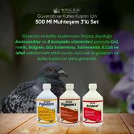 Royal Pigeotonic Pigeorex Acidoral 3'lü 500 ml Tamamlayıcı Yem Seti