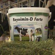 Royal Royvimin D Forte 25 kg Mayalı ve Biotinli Yem Katkıları