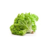 Royaleks 10 gr Yazlık Kıvırcık Marul Tohumu