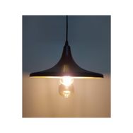 Rsylight Retro Metal Rustik Tekli Sarkıt Siyah İçi Siyah Avize