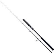 Ryuji Seawolf 1.68 mt 150-250 gr 2P Standart Jig Olta Kamışı