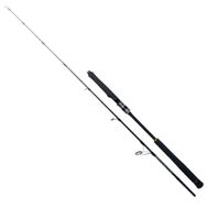 Ryuji Seawolf 1.83 m 200-400 gr 2P Jig Olta Kamışı