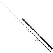 Ryuji Seawolf 1.98 m 150-250 gr 2P Aksiyonlu Jig Olta Kamışı