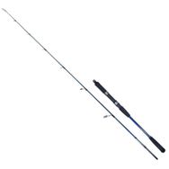 Ryuji Strobe II 168 CM 40-110 GR 2P Jig Olta Kamışı