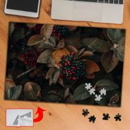 S4276 Tohumlu Yapraklar Bitki 240 Parça Puzzle Yapboz Tablo