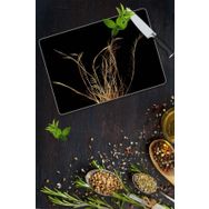 Saban Altın Dal 30x40 cm Cam Kesme Tahtası