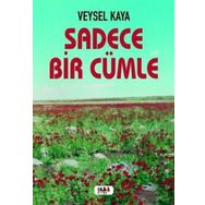 Sadece Bir Cümle - Veysel Kaya