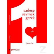 Sadece Sevmek Gerek - Çelebi Can
