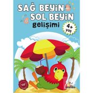 Sağ Beyin-Sol Beyin Gelişimi (4+ Yaş) - Kollektif