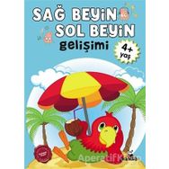 Sağ Beyin ve Sol Beyin Gelişimi 4 Yaş - Beyaz Panda Yayınları