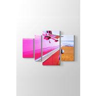 Sahildeki Pembe Cadillac Tablosu
