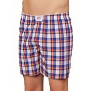 Şahinler E090 Karışık Renk Erkek Poplin Boxer