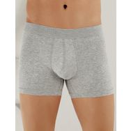 Şahinler ME031 Gri Likralı Şahinler Yazılı Torbalı Erkek Boxer