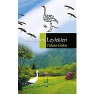 Salaga'nın Leylekleri - Tahsin Gülen